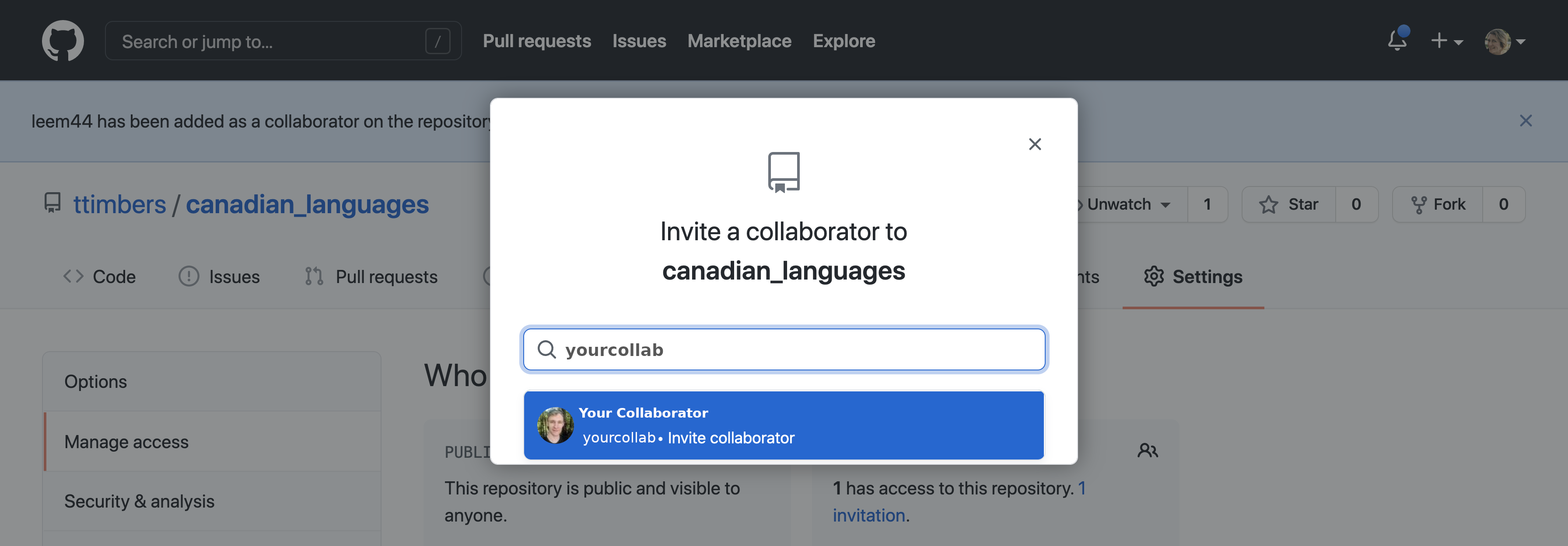 The text box where a collaborator's GitHub username or email can be entered.