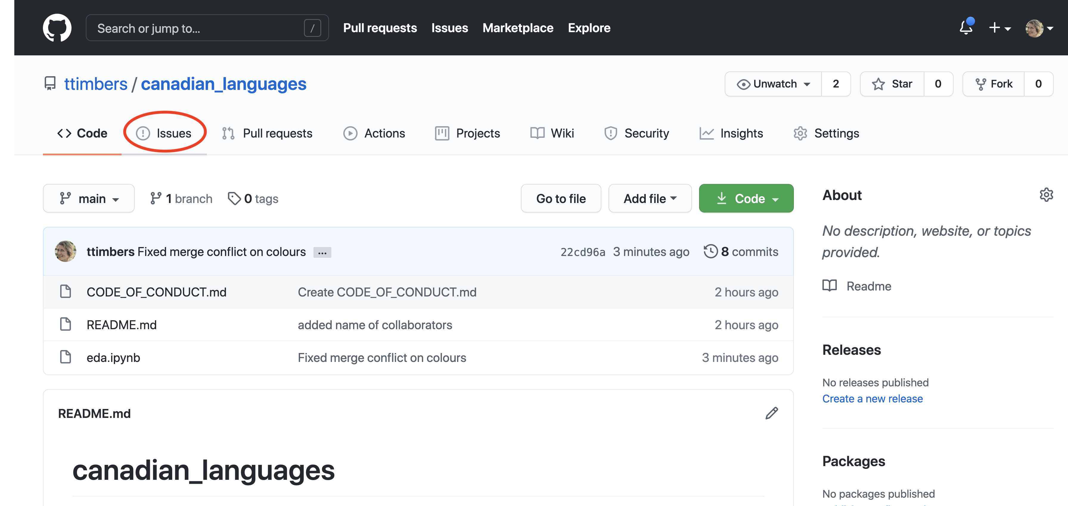 The “Issues” tab on the GitHub web interface.