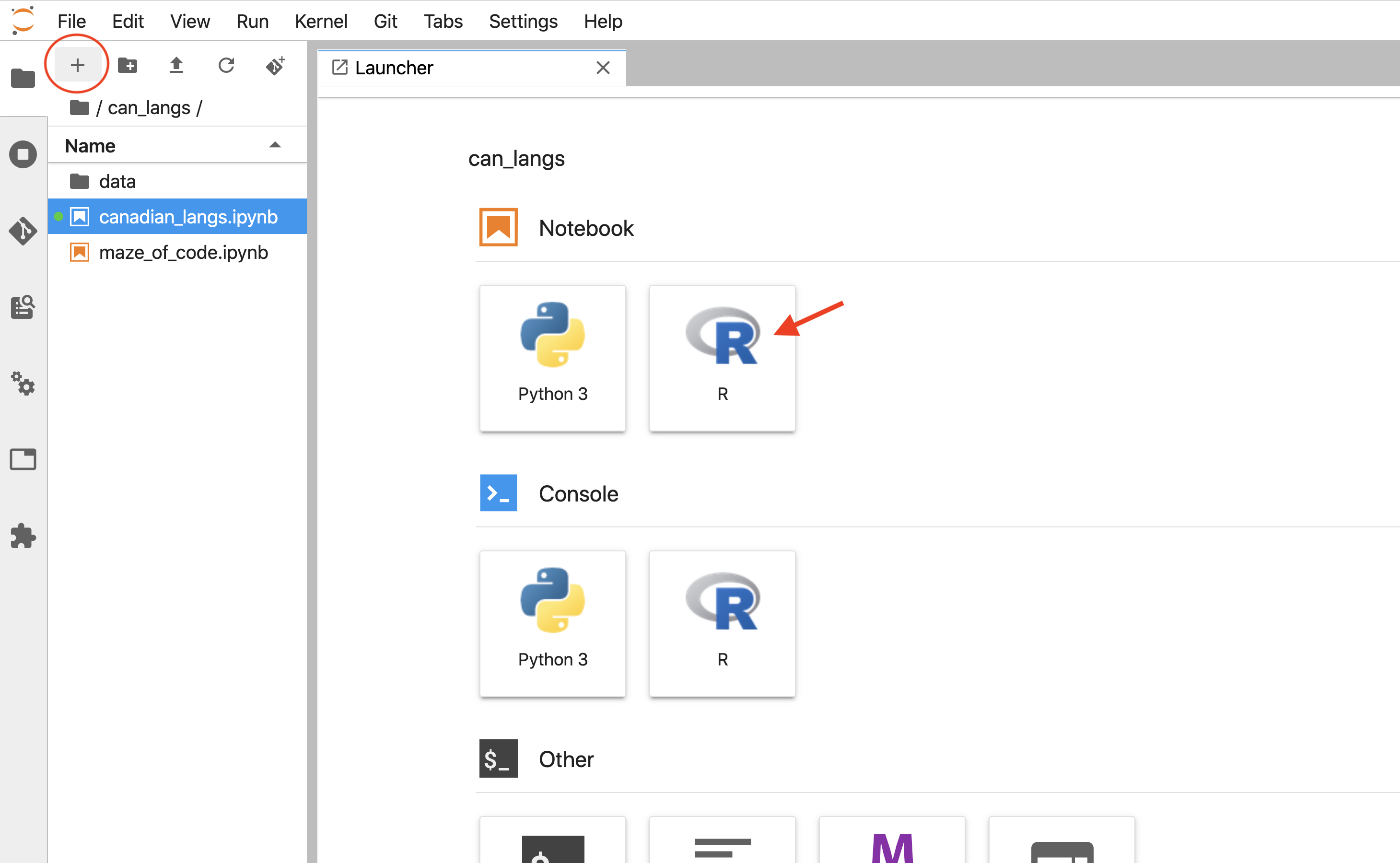 Clicking on the R icon under the Notebook heading will create a new Jupyter notebook with an R kernel.