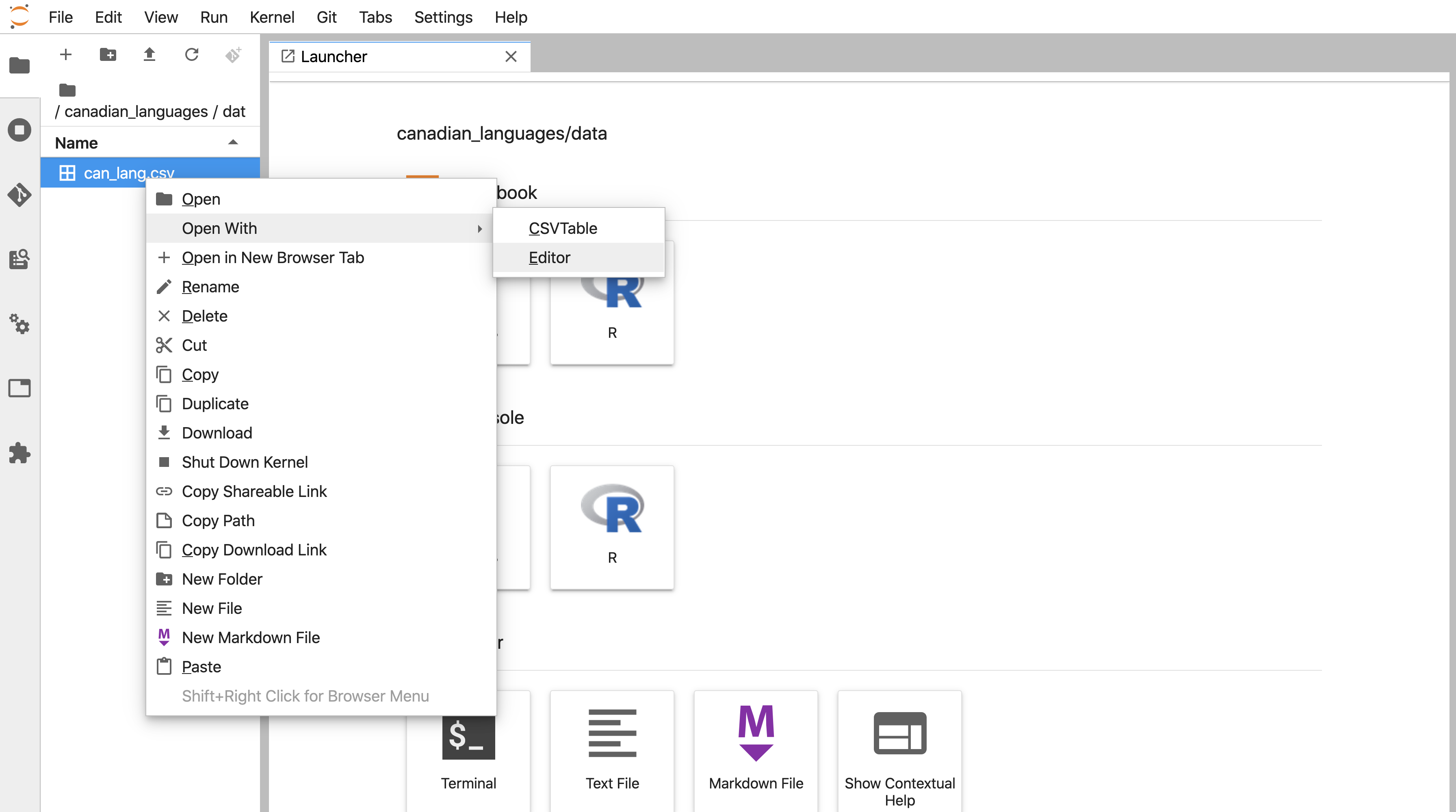 Opening data files with an editor in Jupyter.