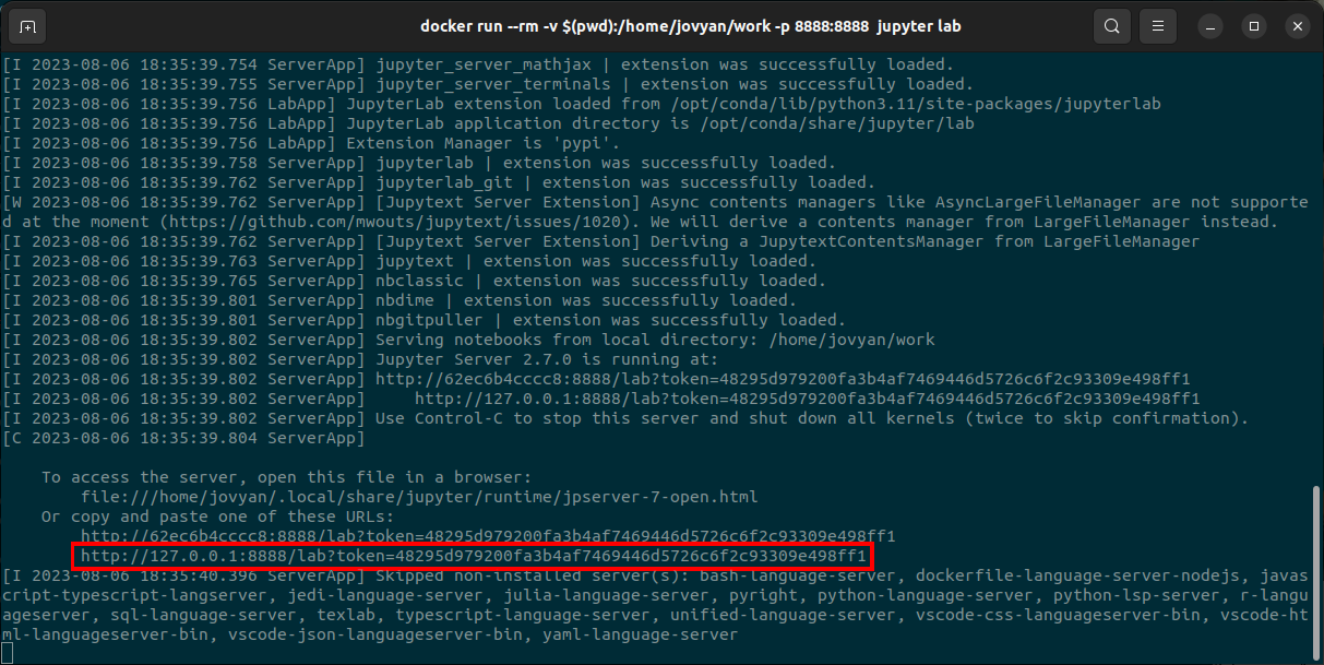 The terminal text after running the Docker container in Ubuntu. The red box indicates the URL that you should paste into your browser to open JupyterLab.