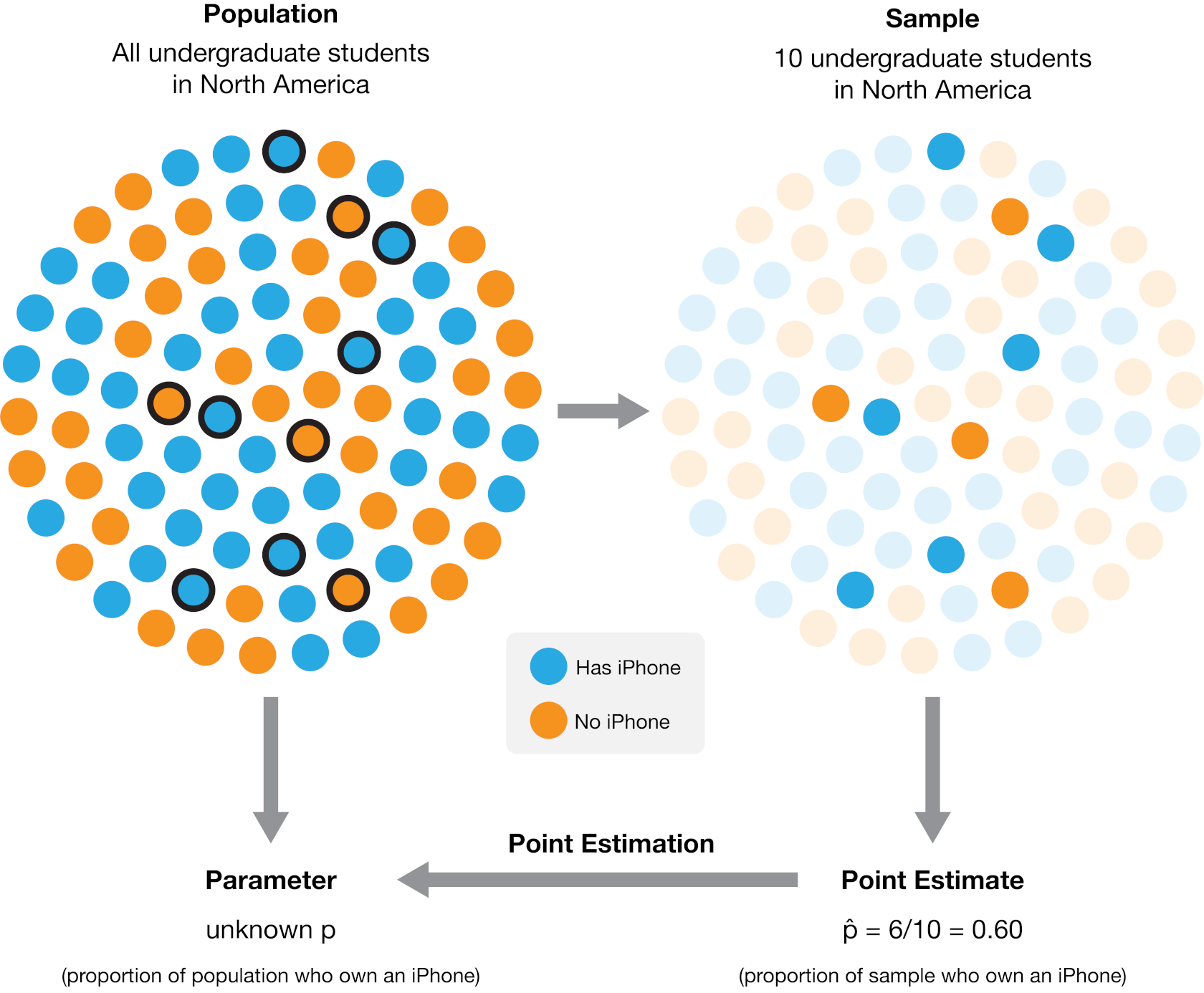 The process of using a sample from a broader population to obtain a point estimate of a population parameter. In this case, a sample of 10 individuals yielded 6 who own an iPhone, resulting in an estimated population proportion of 60% iPhone owners. The actual population proportion in this example illustration is 53.8%.